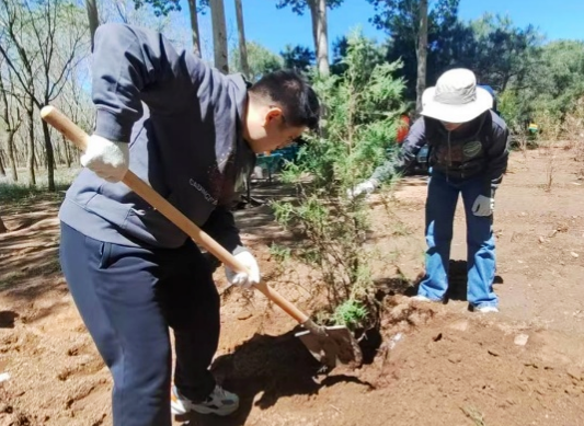 image2.png image2.png